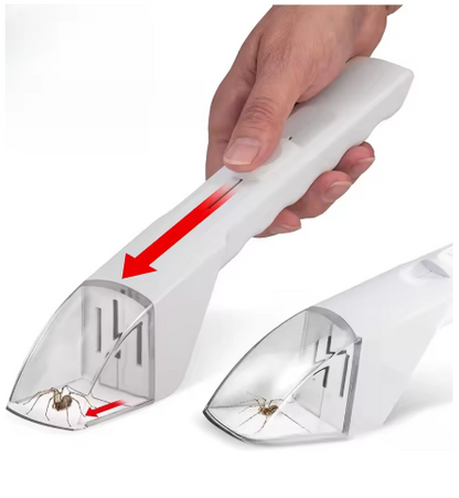 Spinnen und Insektenfänger